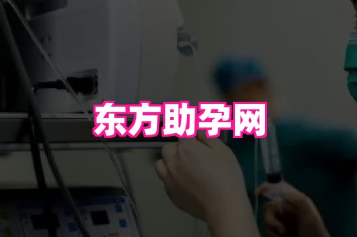 123试管孕网 3